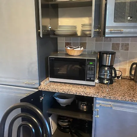 Appartement Résidence Iguanodon Mélina *